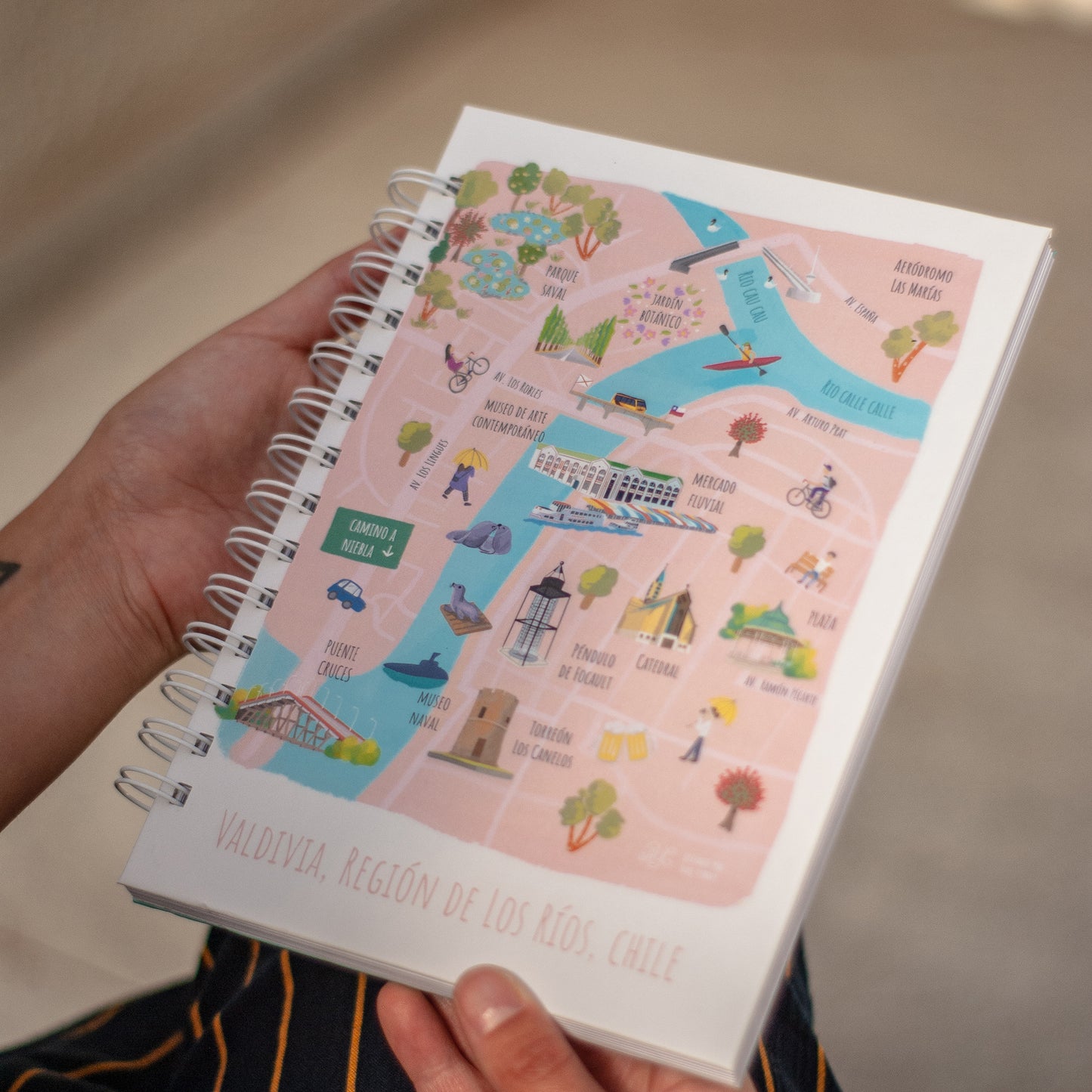 Cuaderno ilustración · Valdivia