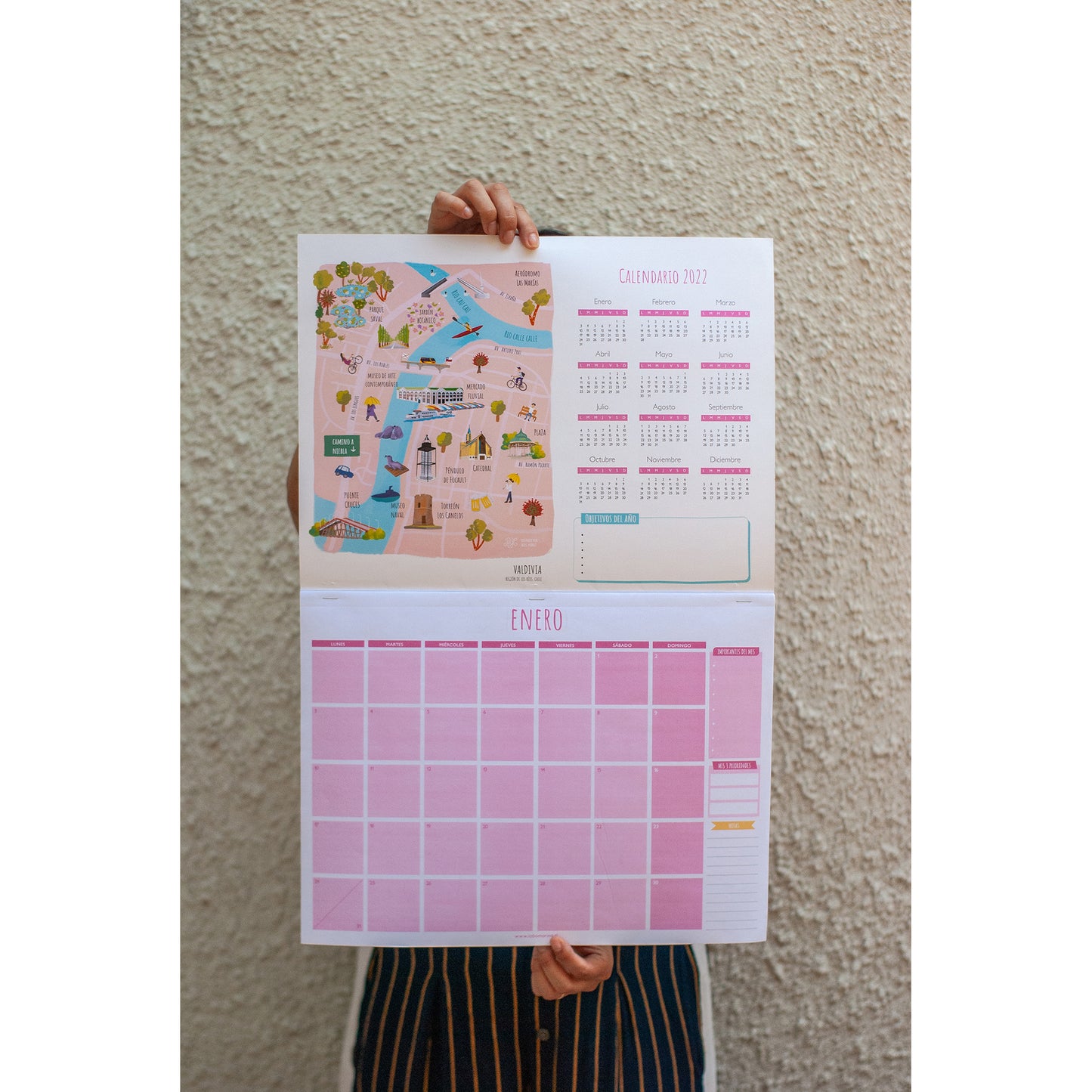 Organizador pared · Valdivia